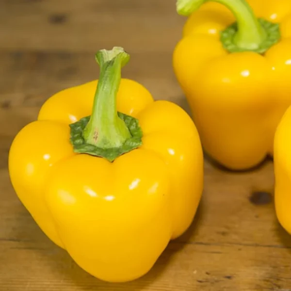 Yellow Bell Pepper (Per Kg)