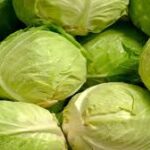Cabbage
