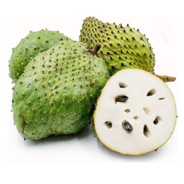 Sour sop Medium Unit