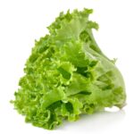 Lettuce 1000