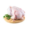 Chicken-Old layers (Per Unit) - Image 2