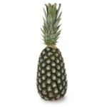 Cotonuo Pineapple