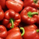 red-caspisums