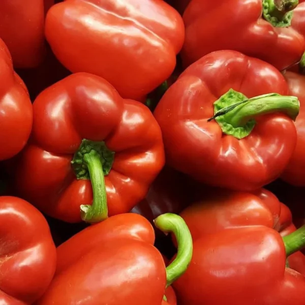 Red Bell Pepper (Per Kg)